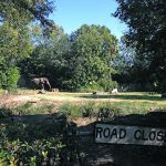 Plan Your African Safari Now