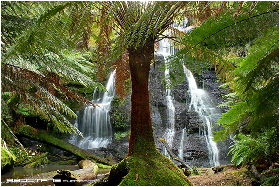 Making Your Great Ocean Road Trip Memorable