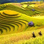 Vietnam Tour 4 Days
