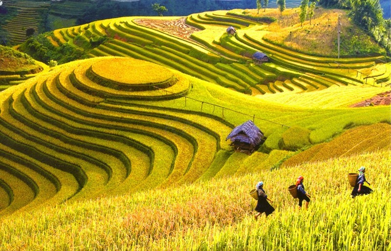 Vietnam Tour 4 Days