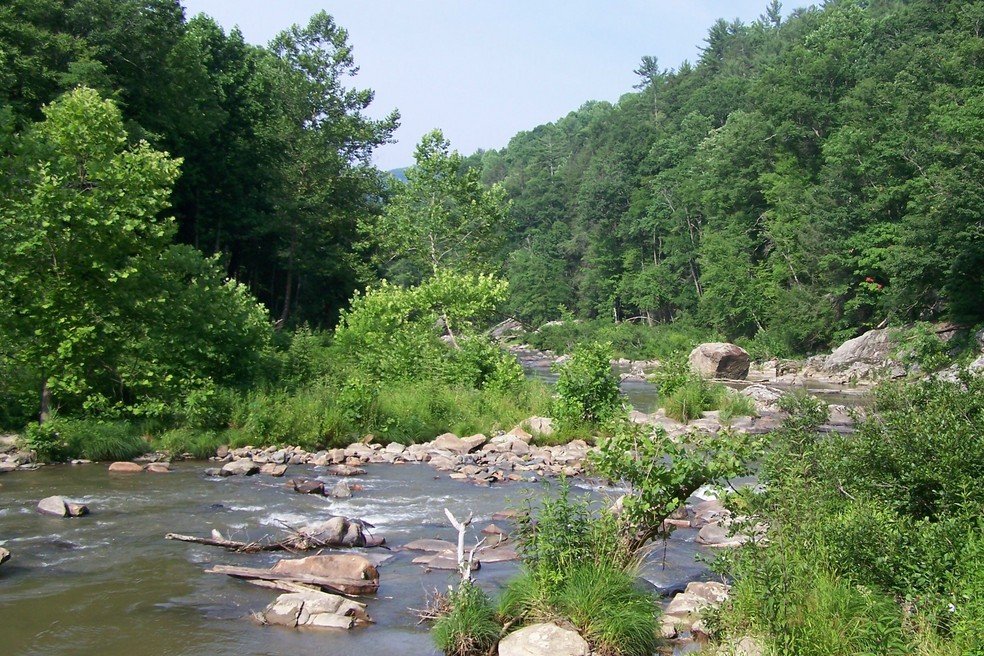 Top 5 White Water Rafting Spots In Tennessee