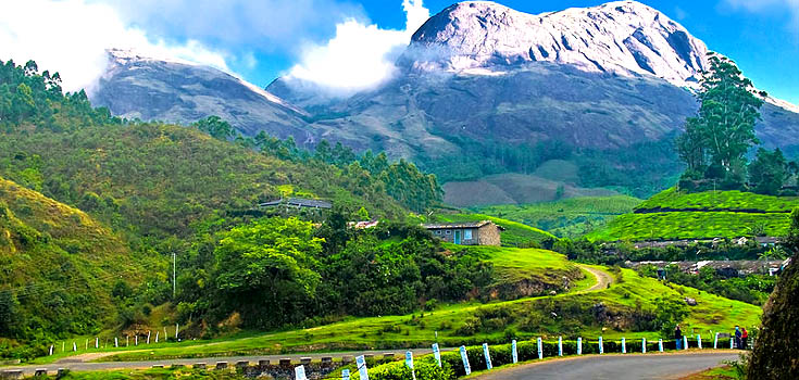 Munnar, Kerela