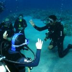 Learning To Dive In The Red Sea