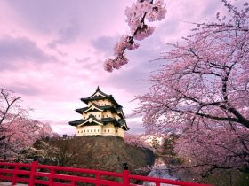 8 Tourist Attractions In Japan You Must Visit In A Lifetime!