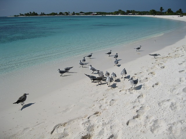 Los Roques