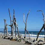 Top New Zealand Summer Destinations