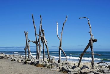 Top New Zealand Summer Destinations