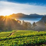 Muay Thai Training Camp and Gym In Thailand For Your Holiday Vacation