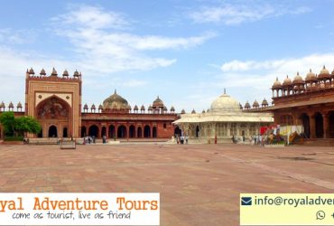 Royal Adventure Tour Is The Best Rajasthan Tour Provider Company
