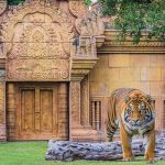 3 Different Family-Friendly Activities To Do In Miami Beach