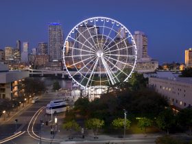 Discover The Best Time To Travel To Brisbane