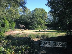 Plan Your African Safari Now