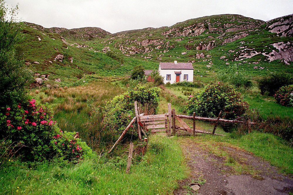 A Love Letter To The Emerald Isle