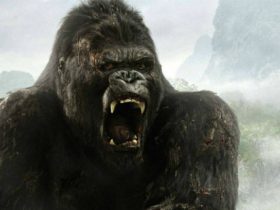 New 'King Kong' film 'Skull Island' to hit the theatres in 2016
