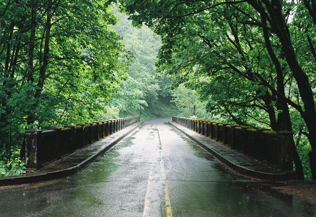 Travel Safely: Tips For Driving In The Rain