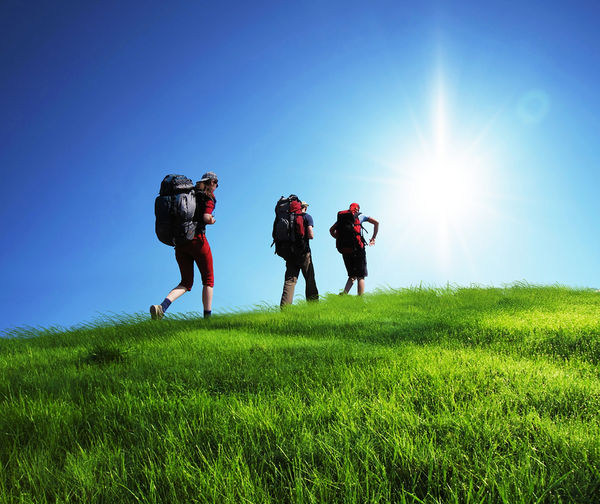 Get Back To The Wild With 4 Great Travel Ideas To Satisfy Wanderlust