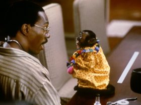 Top Movies Every Animal Lover Should Watch