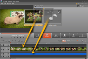 Adding Audio To Video With The Movavi Video Editor Review