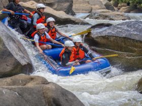 5 Things To Do In Chiang Mai