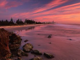 5 Most Exciting Things To Do In The Gold Coast