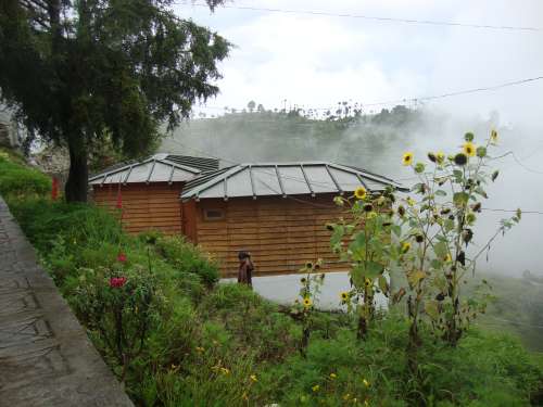 Binsar, The Fantasy Of Every Nature Buff and Bird Lover