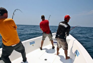 Great Fishing Opportunities In Musandam