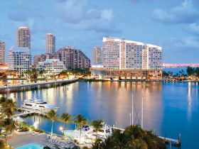 The Island City That Never Sleeps