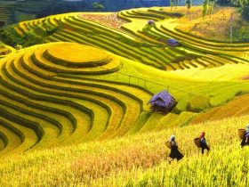 Vietnam Tour 4 Days