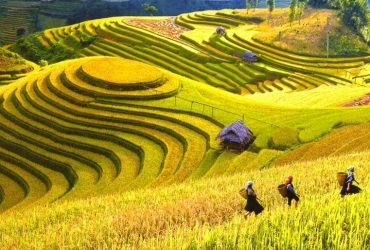 Vietnam Tour 4 Days