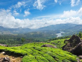 A Refreshing Holiday Trip To Kerala This Summer!