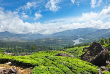 A Refreshing Holiday Trip To Kerala This Summer!