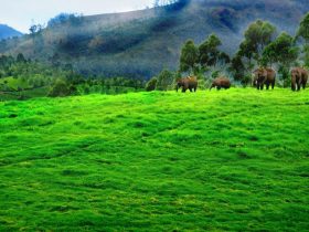 Exploring The Shopping Scenario Of Ernakulam