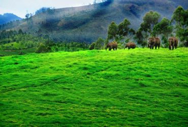 Exploring The Shopping Scenario Of Ernakulam