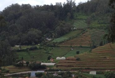 Spectacular Ooty, A Perfect Getaway In South India