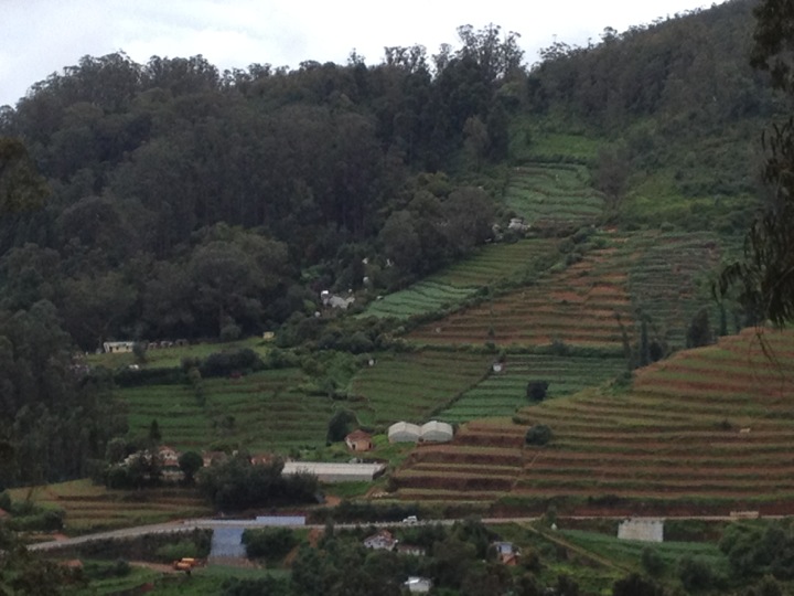 Spectacular Ooty, A Perfect Getaway In South India