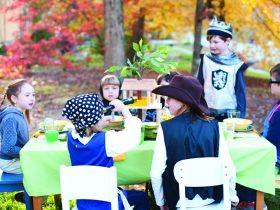 Children Love Magic—Book The Best Place For Their Party