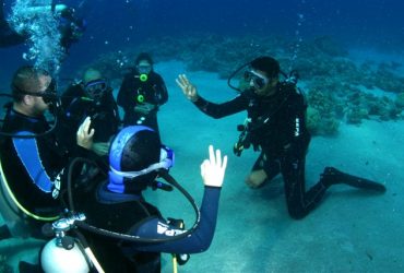 Learning To Dive In The Red Sea