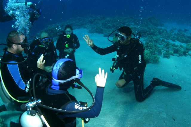 Learning To Dive In The Red Sea
