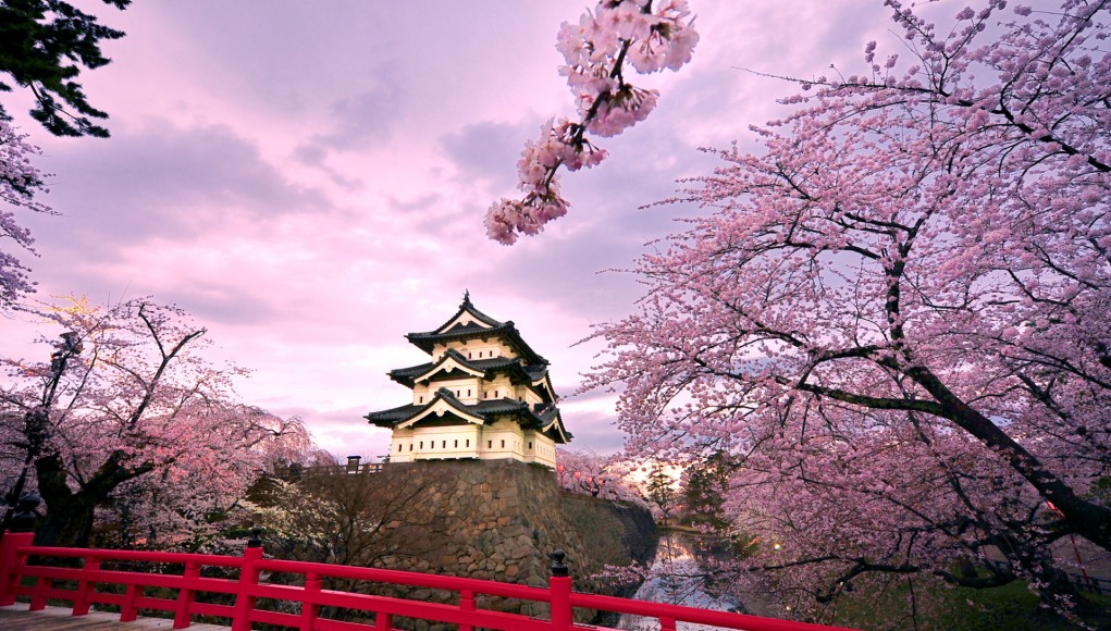 8 Tourist Attractions In Japan You Must Visit In A Lifetime!