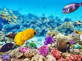 Natural Wonders In Australia
