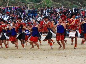 ao-cultura-troupe-hornbill-fstival