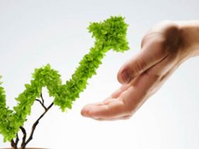 Grow Your Business With Professional IT Solution Service Provider