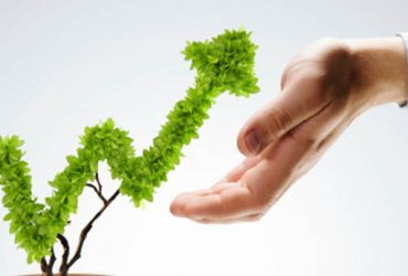 Grow Your Business With Professional IT Solution Service Provider