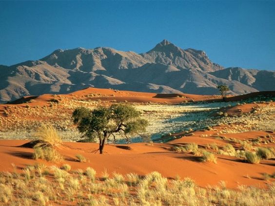 Kalahari Desert