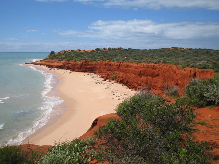 Shark Bay