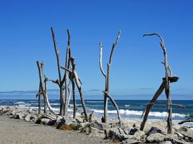 Top New Zealand Summer Destinations