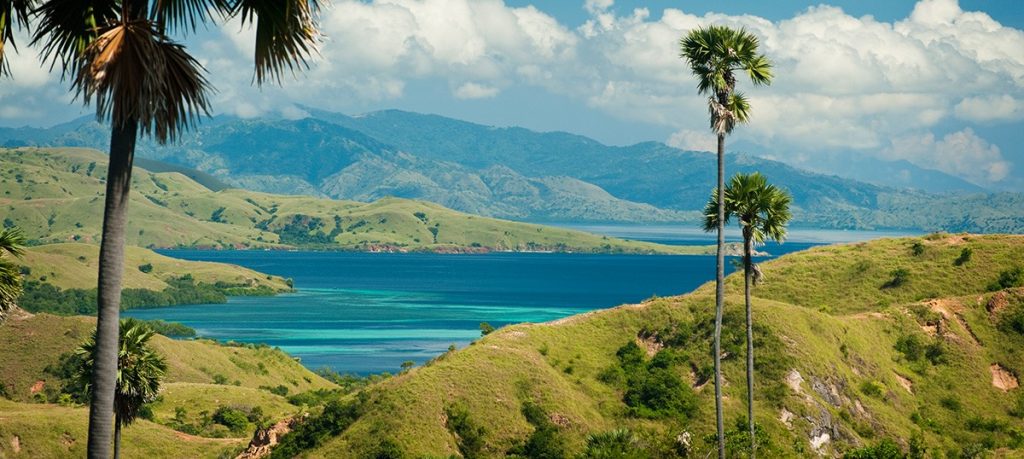 Exploring Komodo National Park and Mesa Island Indonesia