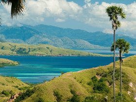Exploring Komodo National Park and Mesa Island Indonesia