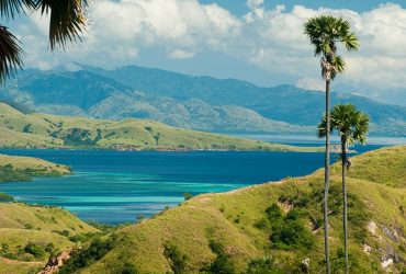 Exploring Komodo National Park and Mesa Island Indonesia