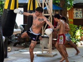Experience The Best Holiday With Muay Thai Training Camp In Thailand